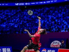 PG游戏官网登录入口-日本羽毛球队完胜法国羽毛球队，陶菲克三分雨点燃全场的简单介绍