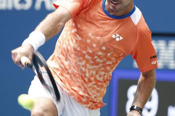 PG中国登录入口-世界网球队爆冷西班牙网球队，瓦林卡统治全场