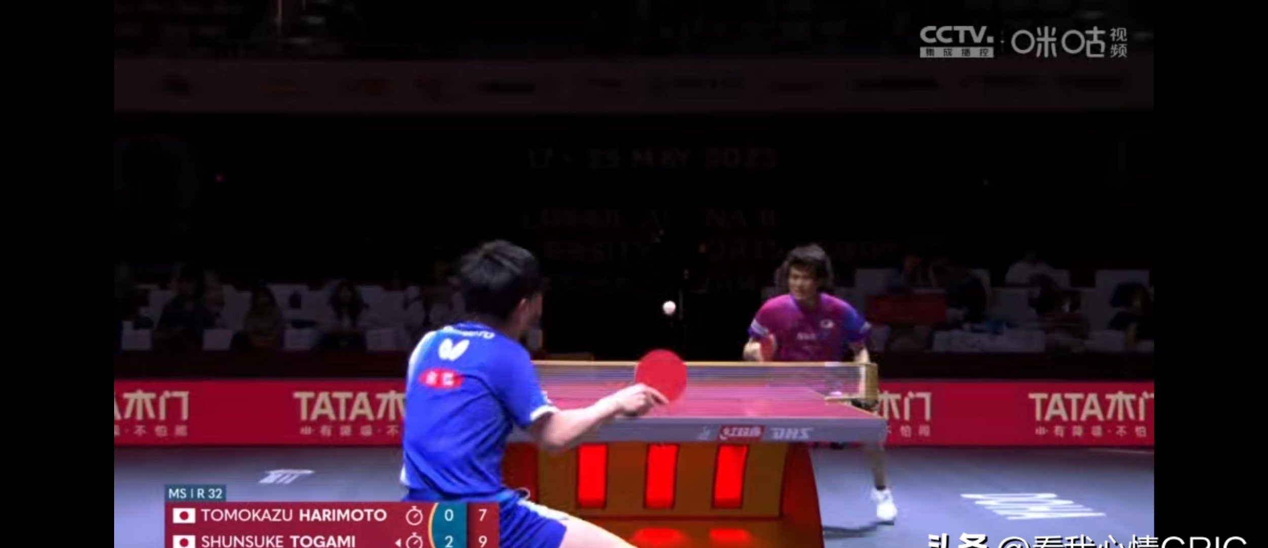 PG电子试玩-日本乒乓球队完胜波兰乒乓球队,波尔关键制胜